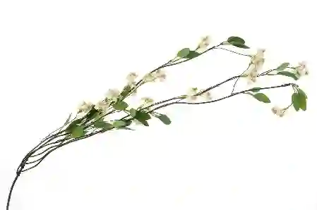 Resim Bahar Dalı Bej Yapay Çiçek 105cm
