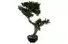 Resim PinusYapay Bonsai Ağaç 75cm