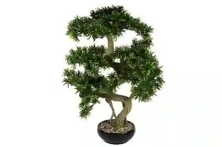 Resim Mikasa Moor Podocarpus Yapay Bonzai Ağacı 56X66Cm