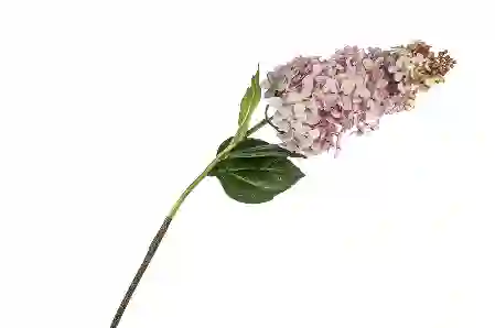 Resim Mikasa Moor Pembe Bahar Çiçeği Yapay Çiçek 82Cm