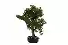 Resim Pinus Yapay Bonsai Ağaç 44cm