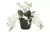 Resim Mikasa Moor Beyaz Sarkan Yapay Orkide 33cm