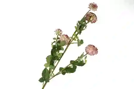 Resim Pembe Yapay Kar Topu Çiçeği 101cm