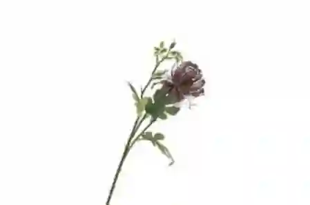 Resim Mikasa Moor Mor Yapay Yengeç Çiçeği 65cm