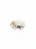 Resim Porland Wild Life Giraffe Kase 17Cm 04Alm006453