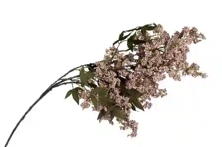 Resim Mikasa Moor Pembe Tomurcuklu Yapay Çiçek 109cm