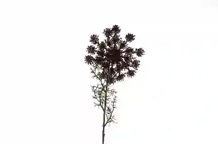 Resim Mikasa Moor Mor Yapay Pıtırcık Çiçeği 70cm