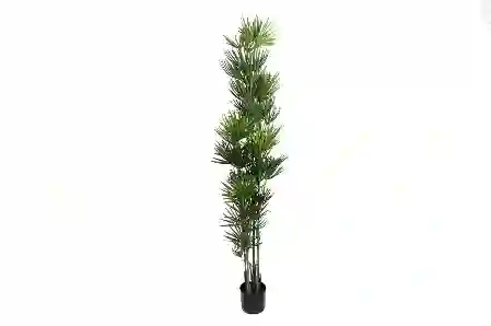 Resim Palmiye Yapay Ağaç 180cm