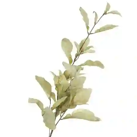 Resim Mikasa Moor Lime Yeşil Yapay Çiçek 86cm