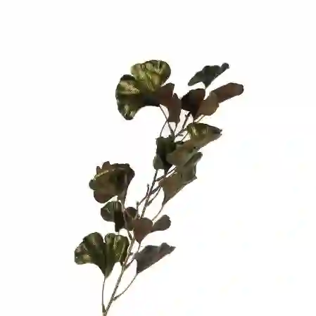 Resim Mikasa Moor Ginko Yeşil Yapay Çiçek 81cm