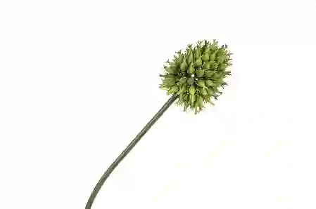 Resim Mikasa Moor Yeşil Yapay Soğan Çiçeği 68cm