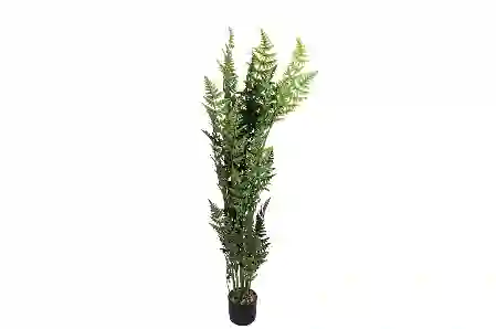 Resim Ferns Tree Yapay Ağaç 160cm
