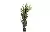 Resim Ferns Tree Yapay Ağaç 160cm