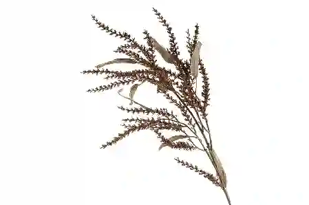 Resim Mikasa Moor Turuncu Ptırcıklı Yapay Dal 114cm