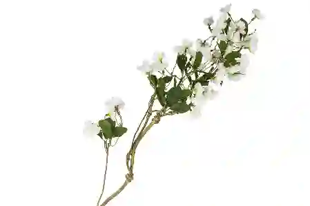 Resim Beyaz Yapay Bahar Dalı 88cm