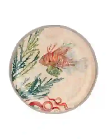 Resim Sea Lıfe Tabak 21 Cm