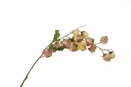 Resim Sarı Pembe Yapay Zambak 90cm