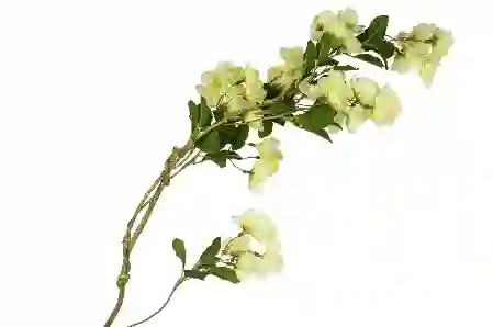 Resim Beyaz Yapay Açelya 88cm