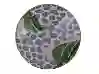 Resim Porland Africa Desen Çukur Tabak 20Cm 04Alm005828