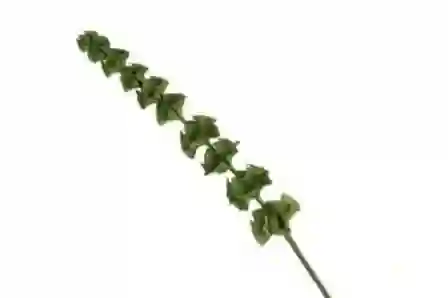 Resim Mikasa Moor Yeşil Yapraklı Yapay Çiçek 87cm