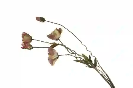 Resim Pembe Gelincik Yapay Çiçek 104cm