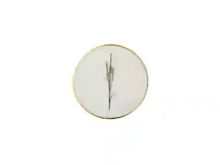 Resim Porland Botanical Desen Bardak Altlığı 10Cm 04Alm006631