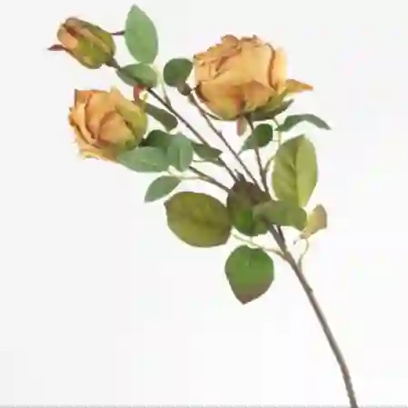 Resim Mikasa Moor Gül Sarı Yeşil Yapay Çiçek 53cm