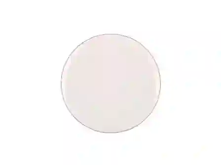 Resim Porland Chopin Platin Düz Tabak 21Cm