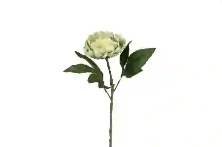 Resim Yeşil Yapay Şakayık 58cm