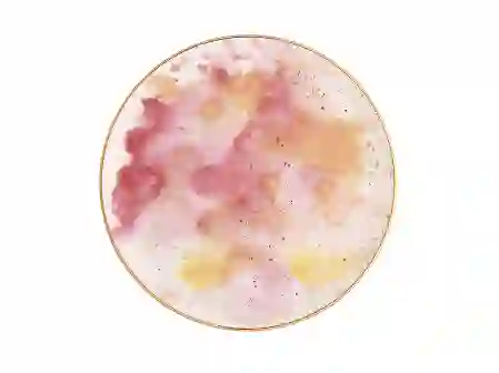 Resim Porland Cosmos Desen Düz Tabak 20Cm