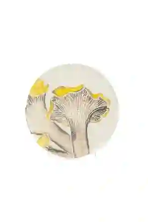 Resim Amorf Sarı Seramik Pasta Tabağı 23cm