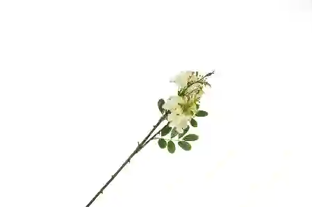 Resim Mikasa Moor Beyaz Yapay Kiraz Çiçeği 65Cm