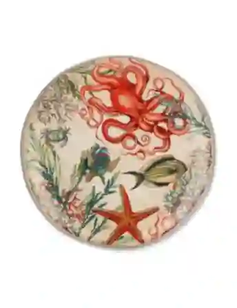 Resim Sea Lıfe Yuvarlak Servis Tabağı 42 Cm