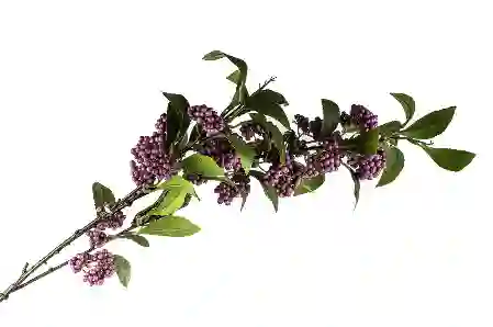 Resim Mor 3 Dallı Yapay Çiçek 100cm