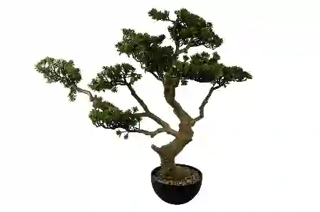 Resim Mikasa Moor Pinus Yapay Bonsai Ağaç 88X80Cm