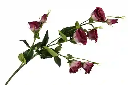 Resim Mikasa Moor Fuşya Yapay Çiçek 100Cm