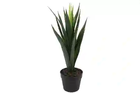 Resim Mikasa Moor Yapay Yucca Ağacı 60Cm