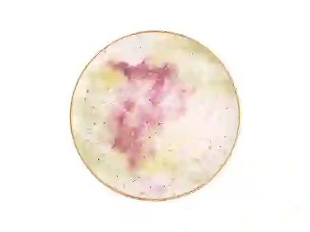 Resim Porland Cosmos Desen Düz Tabak 20Cm