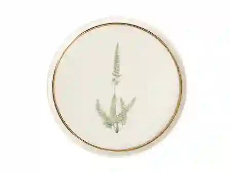 Resim Porland Botanical Desen Düz Tabak 21Cm 04Alm005040