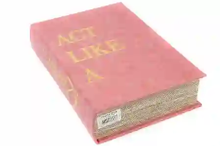 Resim Mikasa Moor Pembe Gold Kitap Kutu 30x21x7cm