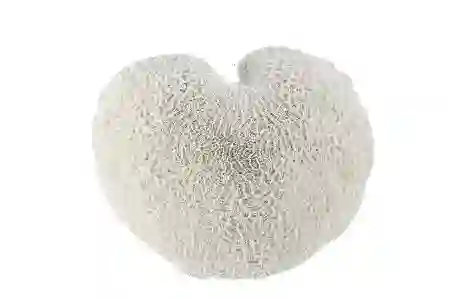 Resim Beyaz Mercan Resin Obje