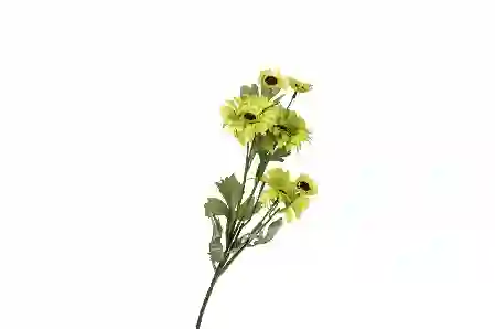 Resim Sarı Yeşil Yapay Papatya 74cm