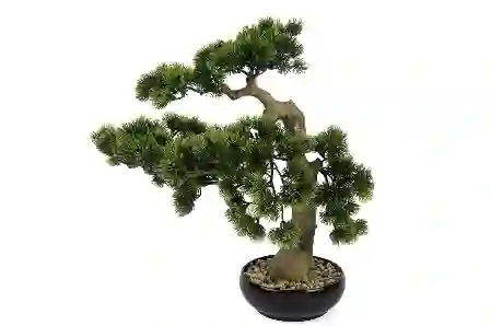 Resim 3 Dallı Çam Ağacı Yapay Bonzai Ağacı 56x52cm