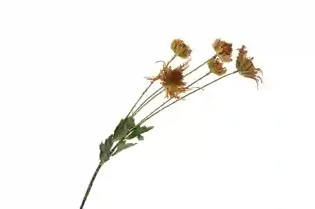 Resim Turuncu Yapay Top Çiçek 75cm
