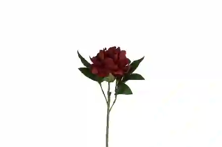 Resim Bordo Yapay Şakayık 58cm