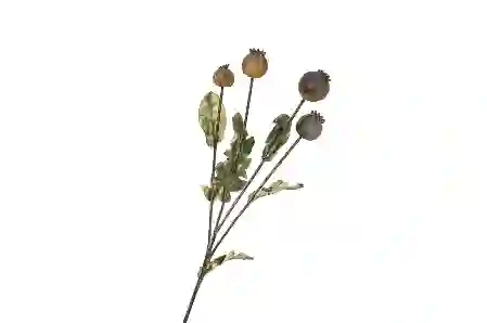 Resim Yapay Haşhaş Çiçeği 62cm
