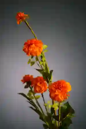Resim Turuncu Yapay Kar Topu Çiçeği 101cm