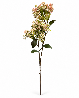 Resim Mikasa Moor Somon Beyaz Yapay Çiçek 80Cm