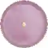 Resim Porland Glamorous Pembe Düz Tabak 20Cm 04Ap021564