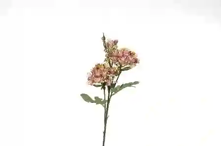 Resim Pembe Yapay Yasemin 64cm